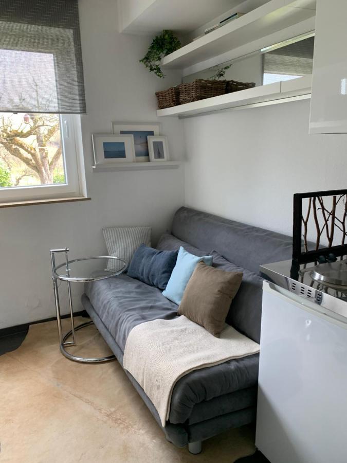 Micro-Apartment In Seenaehe Fusslaeufig Zum See:)) Энинген Экстерьер фото